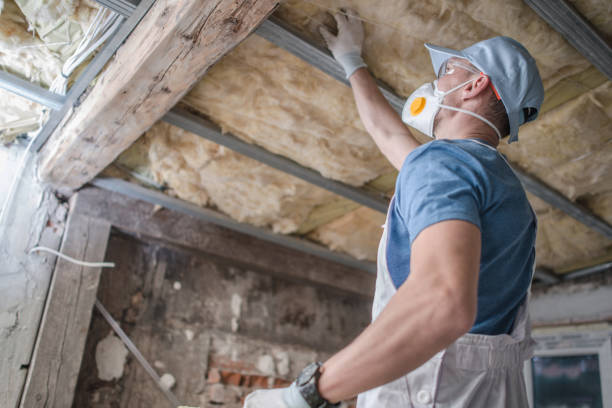 Best Specialized Insulation Services in Smith Center, KS